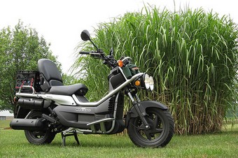 Honda Ps 250 Big Ruckus Купить